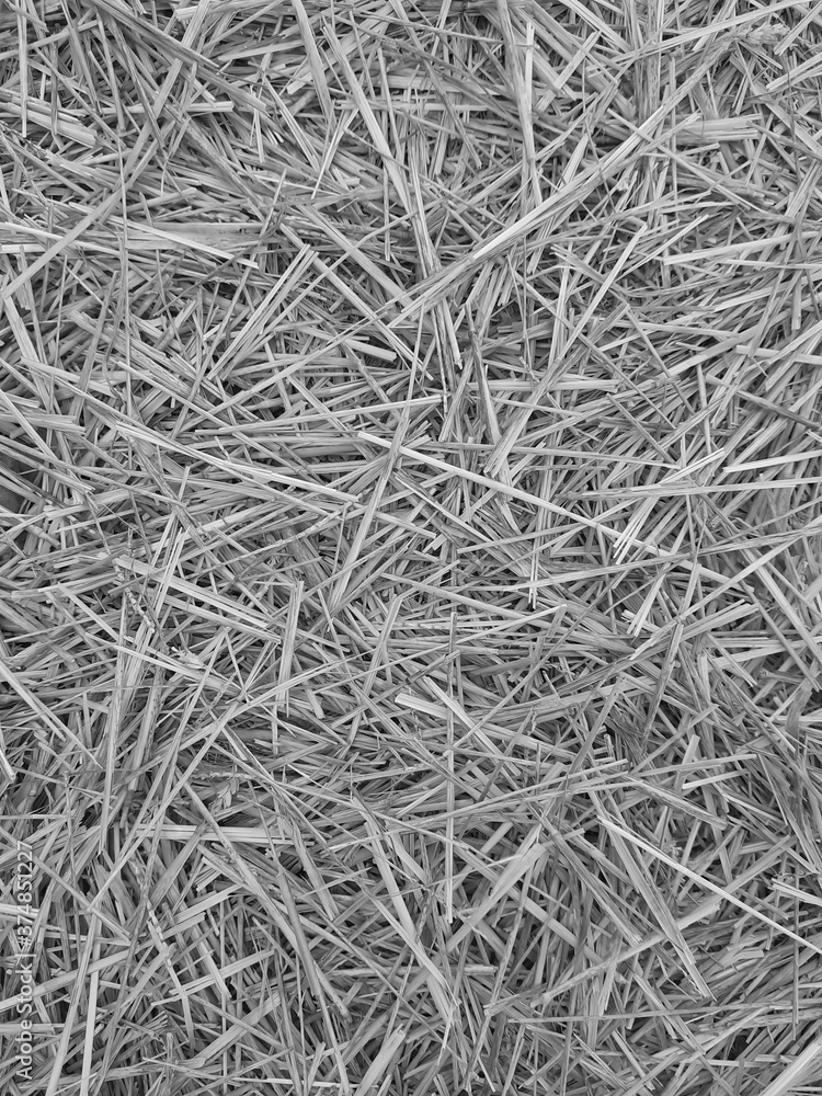 Straw background. Straw background.