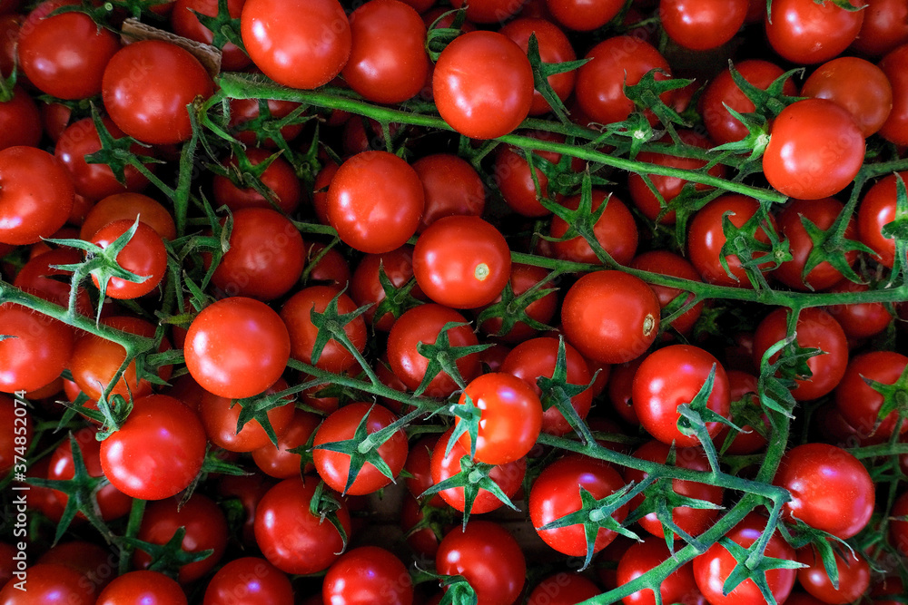 Fresh red tomatoes food background