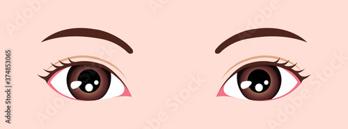 Female close up eyes vector illustration / Asian, Japanese,Korean