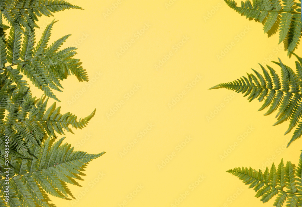 Fern leaves on both sides of the yellow background.Horizontal placement. Place for copy space