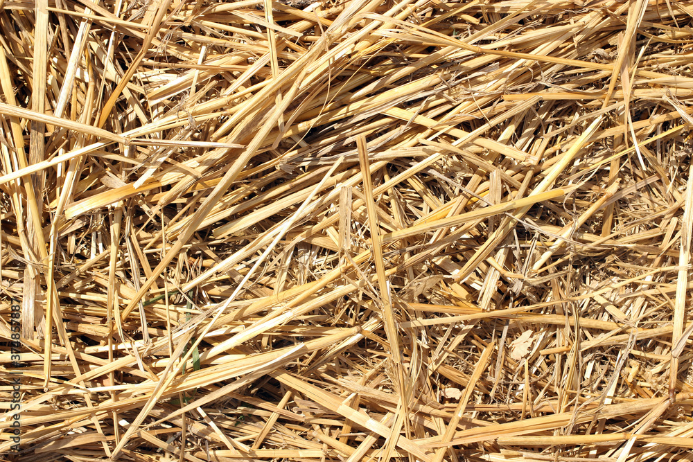 dry straw texture background, the pattern