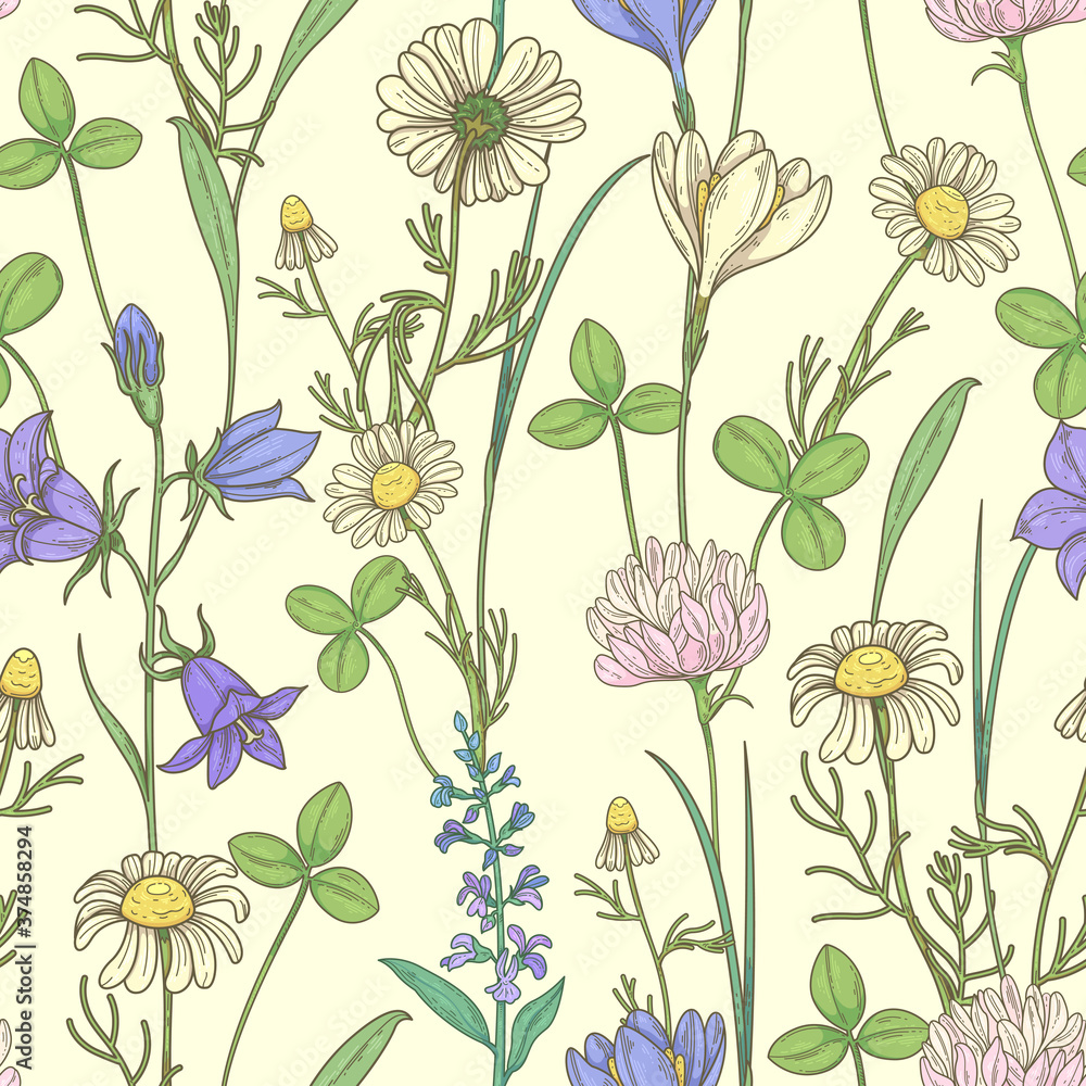 Seamless pattern with wildflowers. Pattern with daisies, clover and bellflowers Seamless pattern with wildflowers. Pattern with daisies, clover and bellflowers