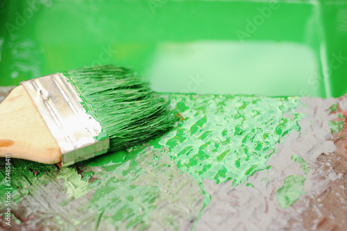 green paint and brush in the tray photo