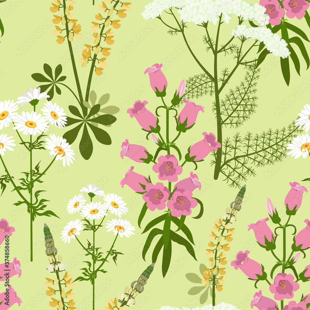 Seamless vector illustration with wildflowers Seamless vector illustration with wildflowers