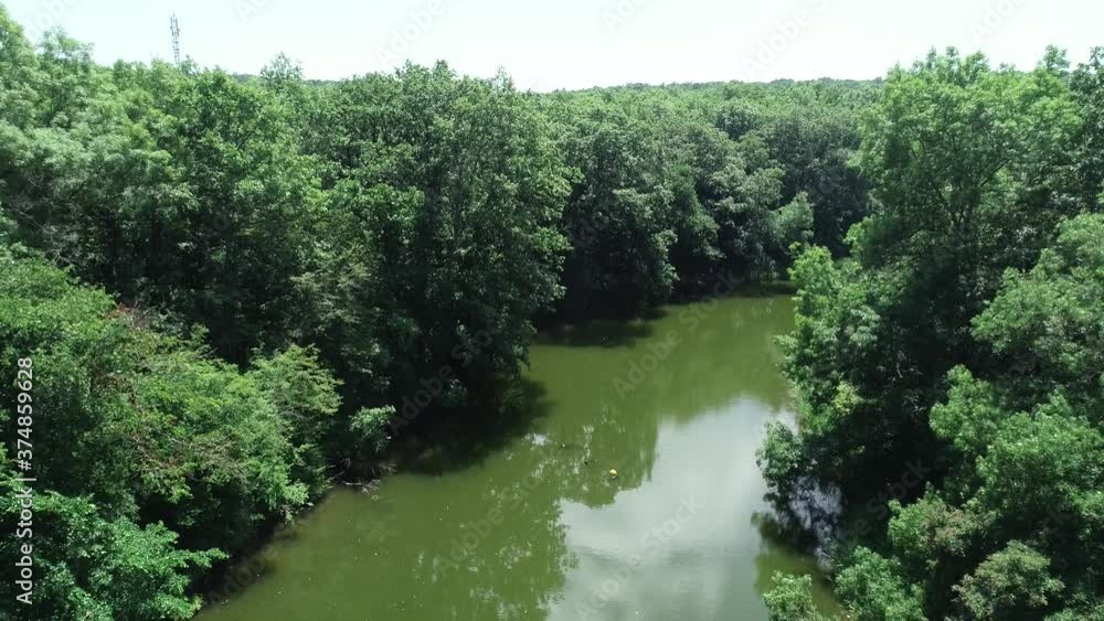 4K Aerial view of river and beautiful wild forest.