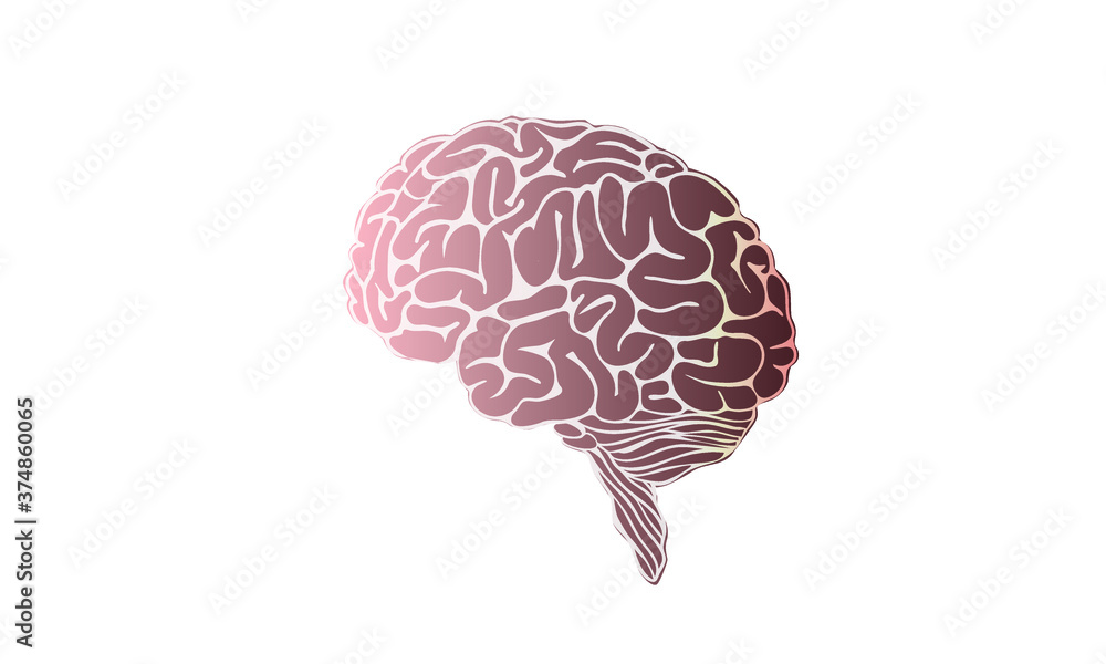 Human brain illustration, side view, vector Stock Vector | Adobe Stock