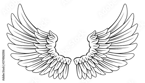 A pair wings like those of an angel or eagle with feathers