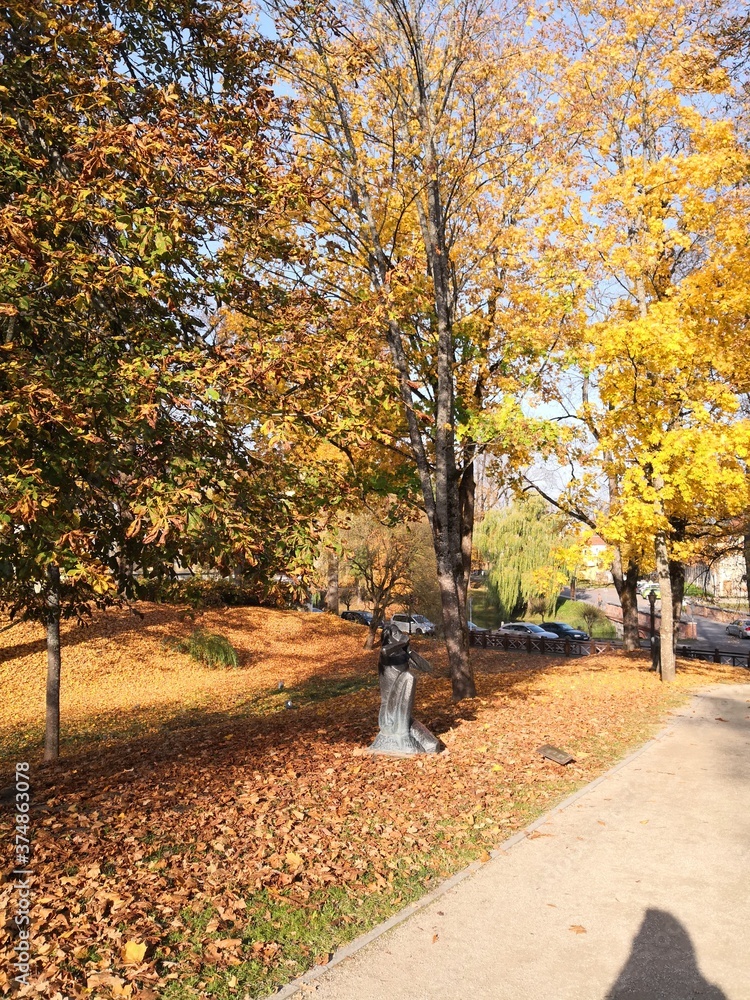 Naklejka premium autumn in the park