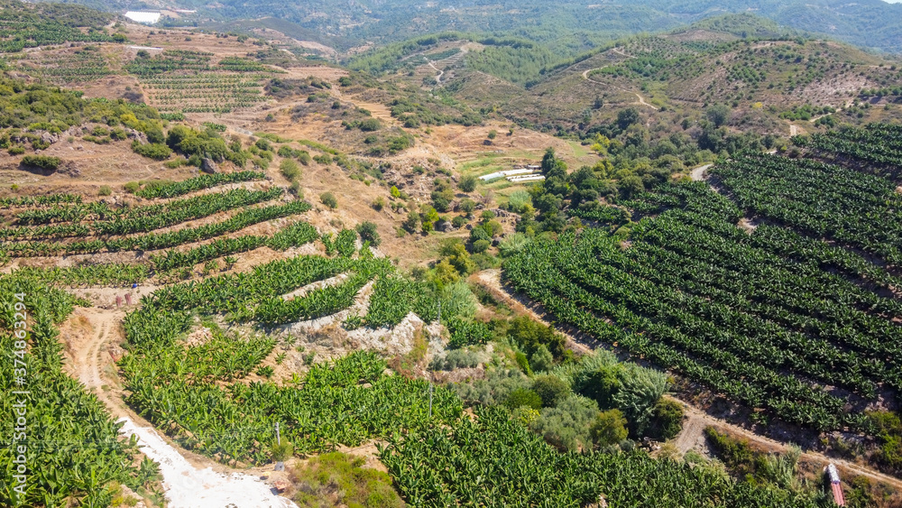 Aerial view at banana farms on the mountain hills. Agriculture in the tropics concept.