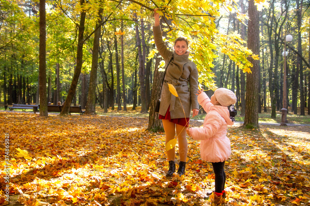 Fototapeta premium Autumn park. A smiling woman with her daughter collect yellow leaves. A walk in the park with child.