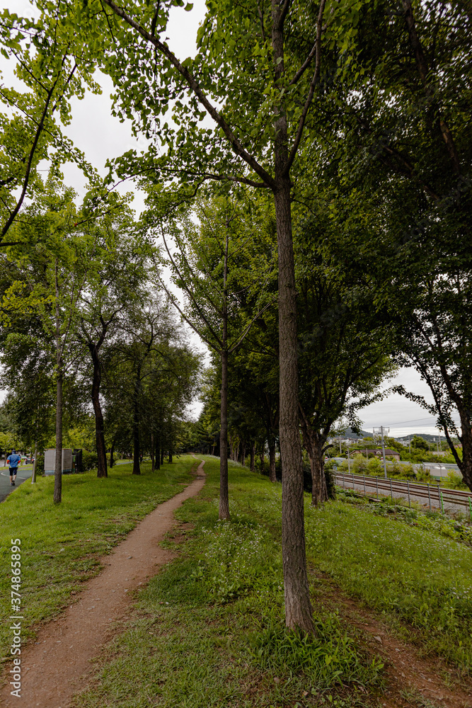 Obraz premium 산책로