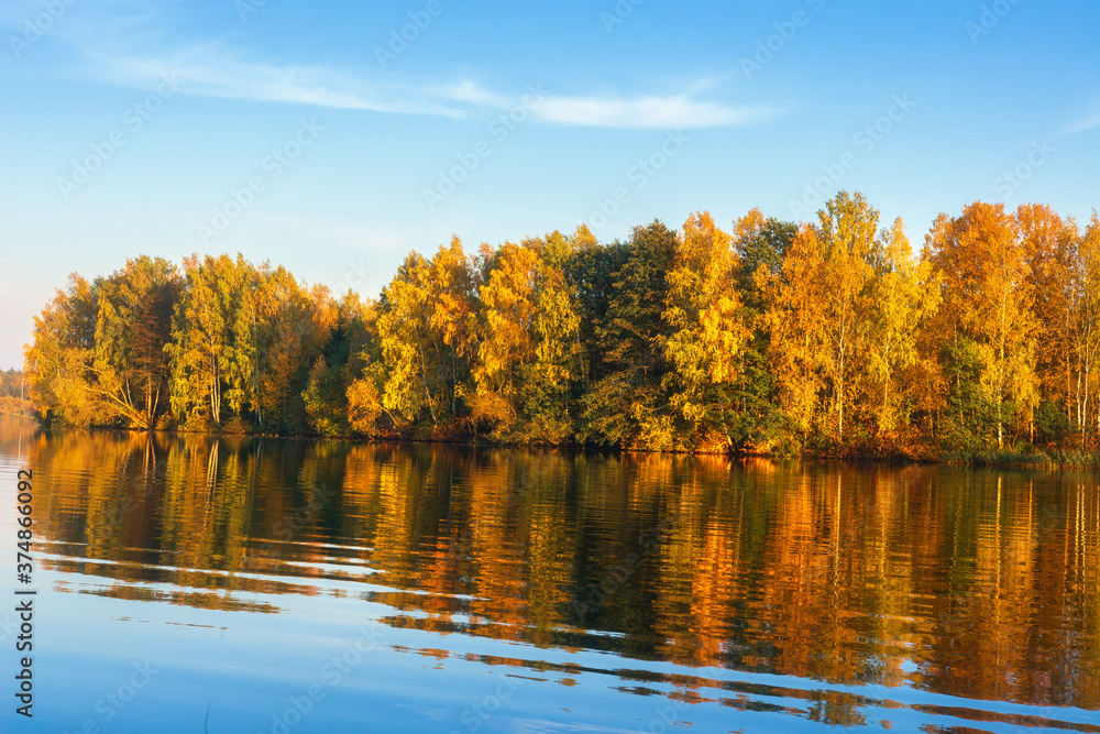 Sunny autumn morning on lake. Landscape. View from the bech to forest. Golden forest. Reflection of the autumn forest in the water.