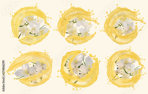 Set flower jasmine with water splash. Blooming jasmine of six groups for beauty products, teas, perfumes, essential oils and medicines. Set jasmine. Fragrant beautiful jasmine. Vector illustration.