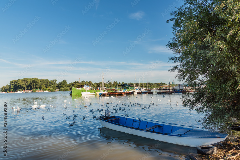 Belgrade, Serbia - August 26, 2020: Many small fishing boats anchored on Danube river. View from Zemun part of Belgrade. River Danube, small fishing boats, beautiful blue sky, swans and Zemun marina.