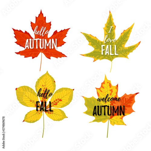 Autumn greeting cards set. Realistic autumn leaves with text on the white background. Vector illustration