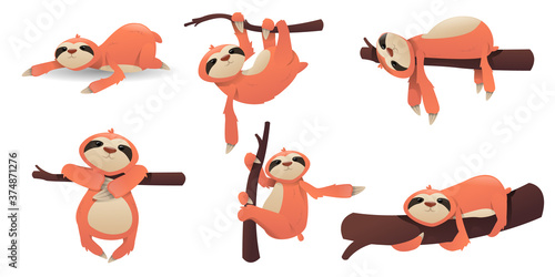 Funny sloth poze set on white background