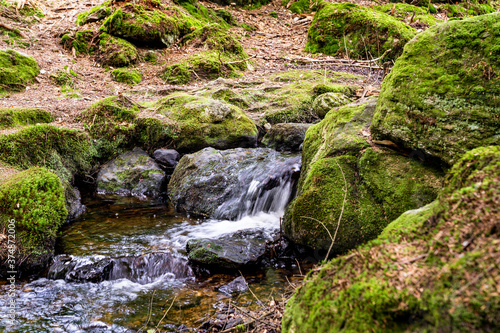 Waterfall in forest and green moss on rocks