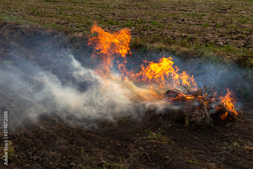 Slash-and-burn agriculture or Stubble burning. Fire being burned on an agricultural field to get rid of remnants of grass after plowing.