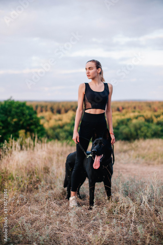 Young slender girl at sunset plays with a sheepdog