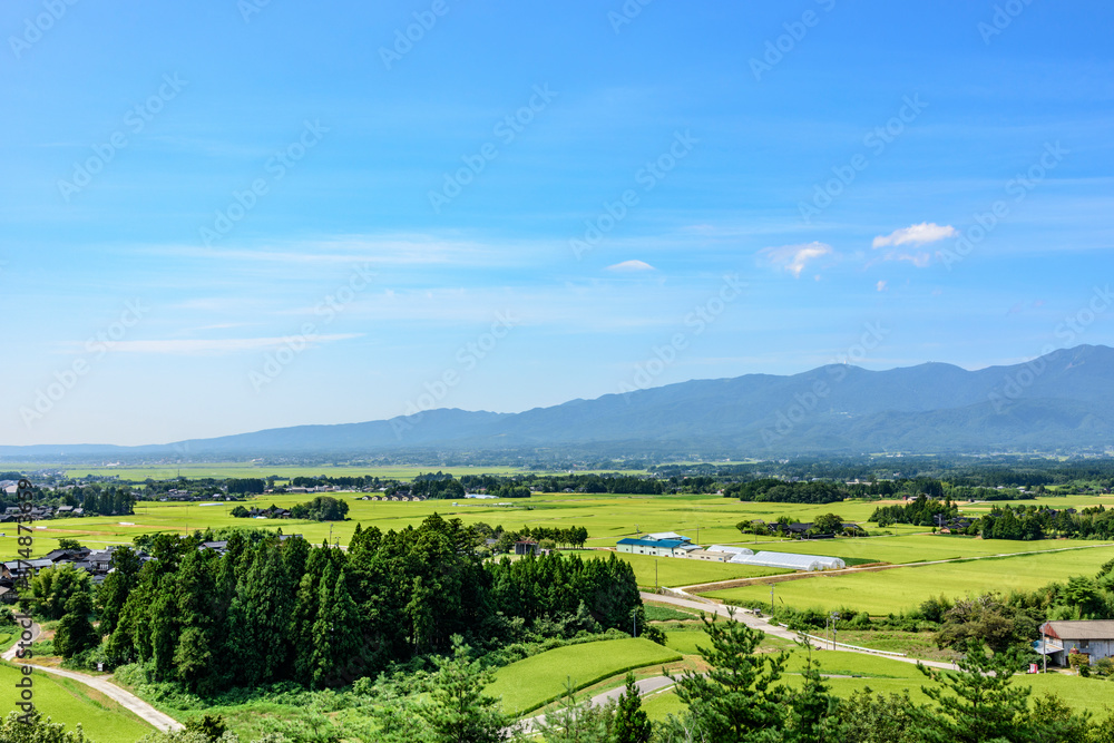 Fototapeta premium トキのテラスから望む佐渡