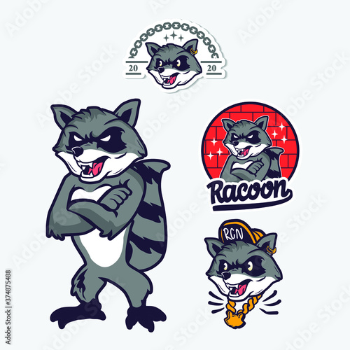 Raccoon Illustration. Raccoon Mascot Vector. Raccoon Logo Icon