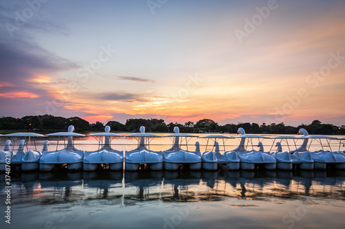 Row of white swan spinning pedal boats on water in a lake of public park under Sunset light period,Twilight