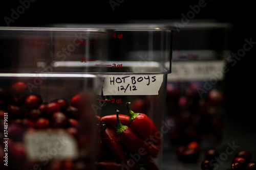 Fruit in Cambro