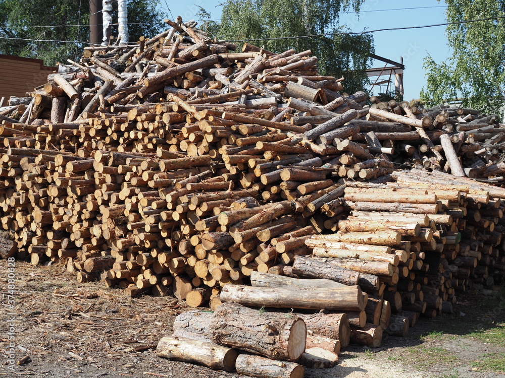 Raw de-barked pine wood logs in a lumber staging and storage yard - Western Oregon. Raw timber stacked and ready to begin to be transformed into lumber and paper products - awaiting shipping