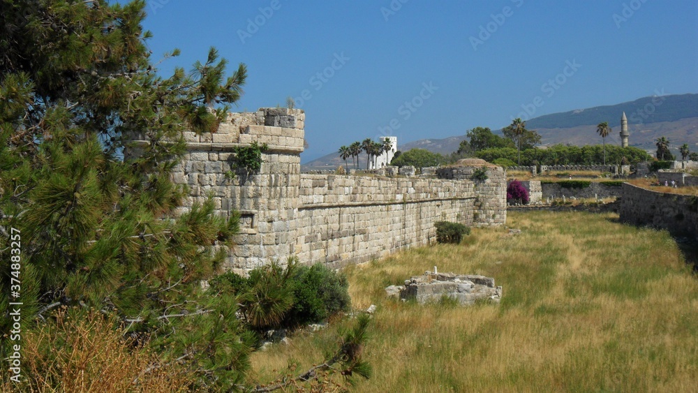 Ruins Enveloped by Nature, Island of Kos