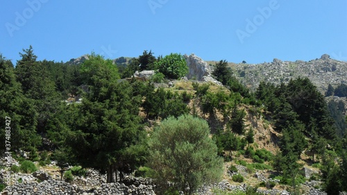 Verdant Hill with Forest, Island of Kos