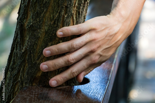 a woman's hand touches a tree trunk, around which a railing is carved, the concept of caring for and protecting trees, nature and activists who protect nature