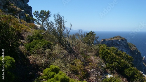 Greenery and Ocean at Cape Point, South Africa