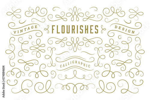 Calligraphic design elements vintage ornaments swirls and scrolls ornate decorations vector design elements