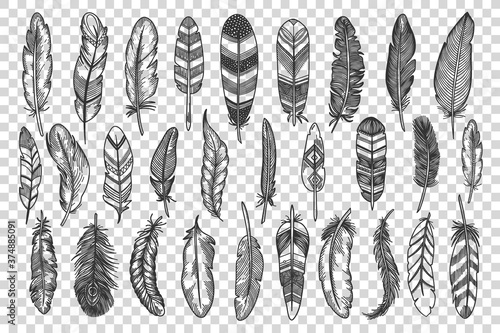 Feathers doodle set