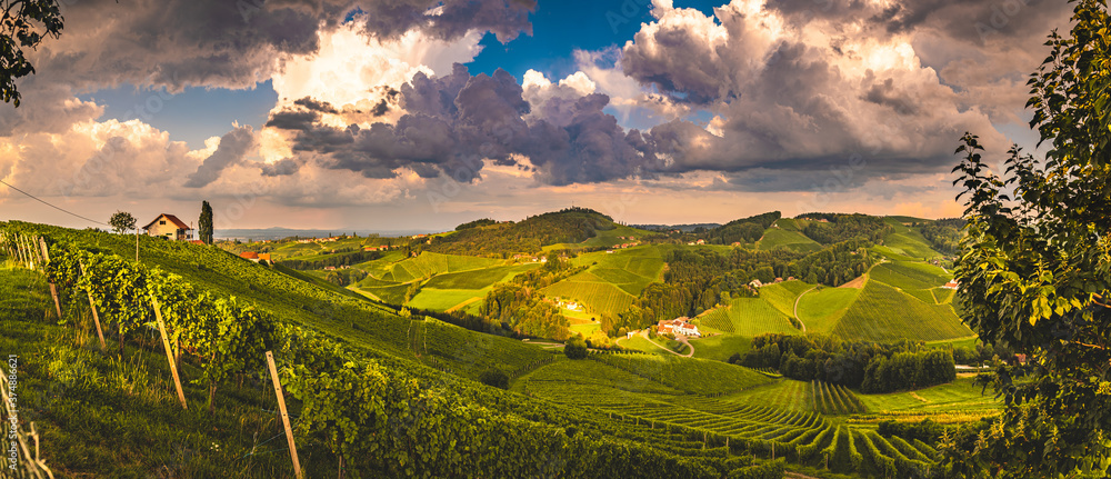 Vineyards in Austria panorama, famous destination with wine road in south Styria. Wine country in summer. Tourist destination.