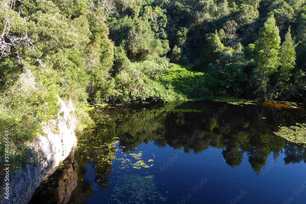 Beautiful View from a Bridge over a Forest Pond at Wilderness, South Africa Beautiful View from a Bridge over a Forest Pond at Wilderness, South Africa