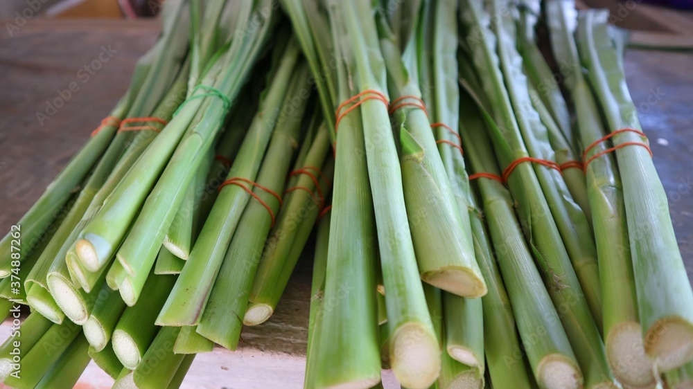 bunches of green onions bunches of green onions