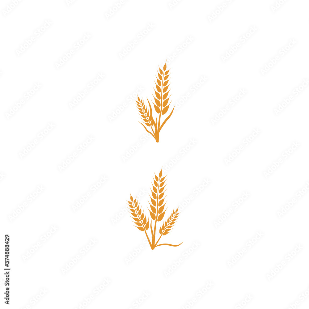 Wheat Logo Template vector symbol Wheat Logo Template vector symbol