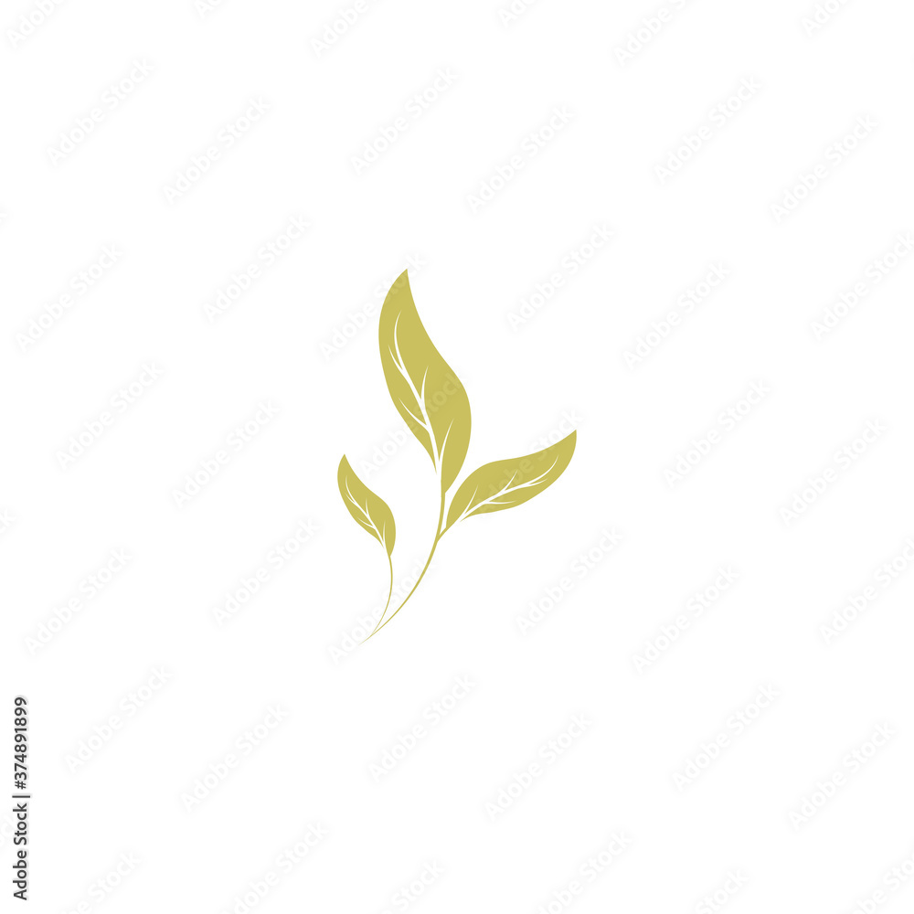Beauty Florist botanical flower vector Beauty Florist botanical flower vector