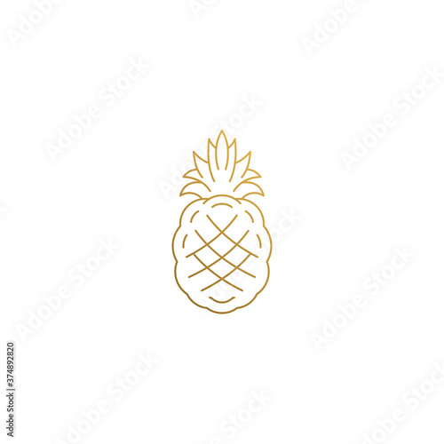 Outline icon of tropical pineapple hand drawn with thin lines