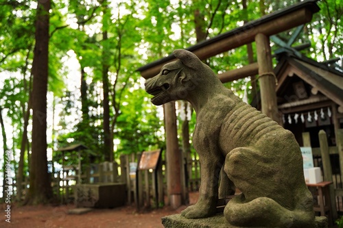 Komainu (shrine guardian dog statues) at Hotosan Jinja Shrine Okumiya at Chichibu, Saitama, Japan.  At Hotosan Jinja Shrine, It is wolf, guardian wolf statue, God's bodyguard. photo