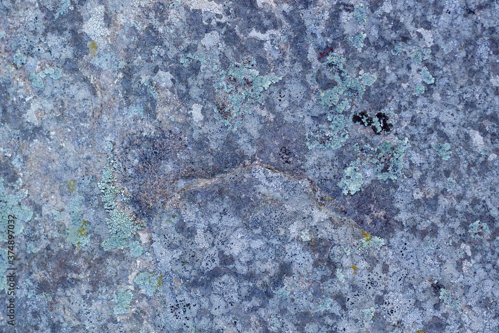 Naklejka premium Grey grunge textured wall background copy space