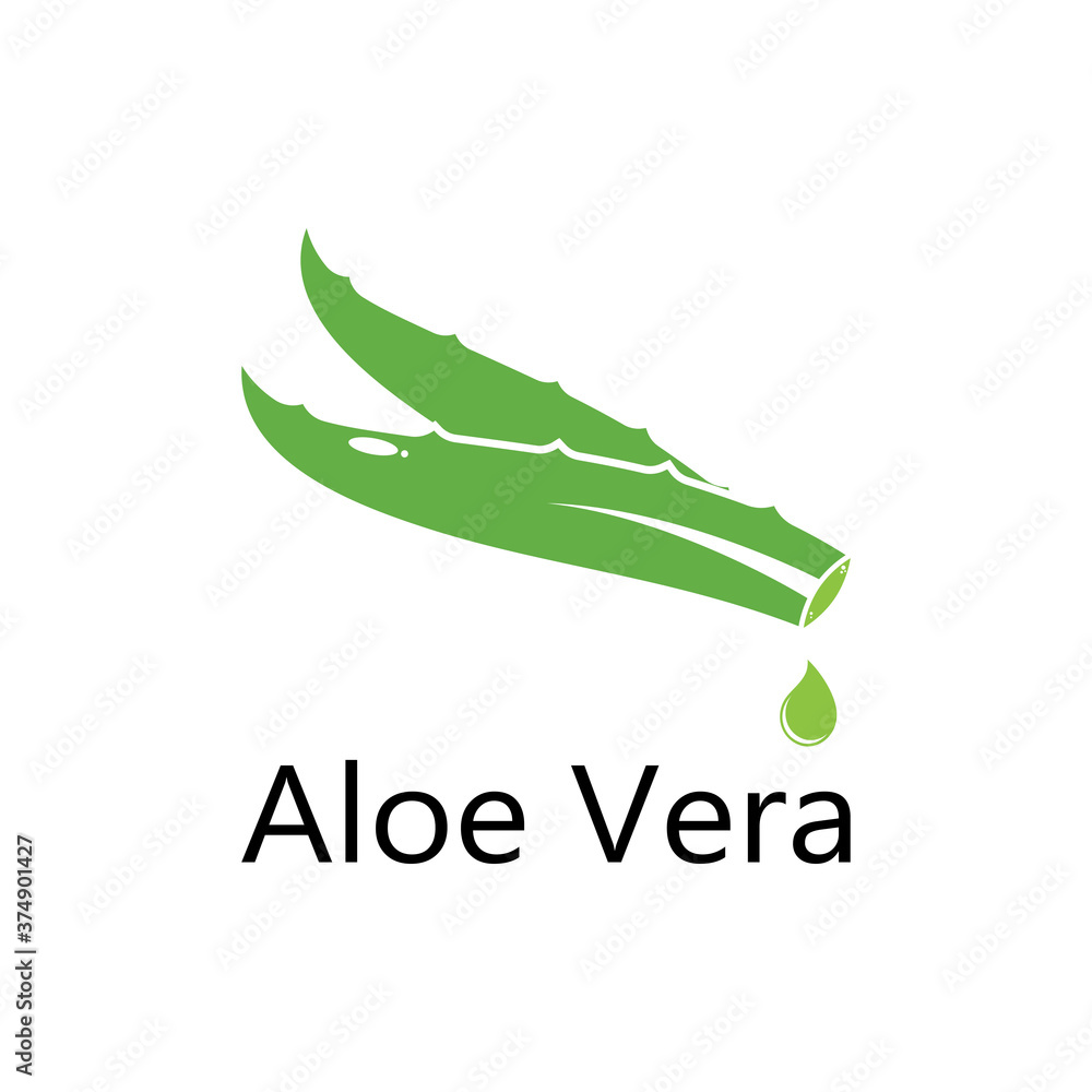 Aloe vera logo vector illustration template Aloe vera logo vector illustration template