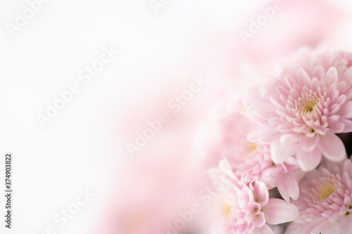 Nature of pink flower in garden using as cover page background natural flora wallpaper or template brochure landing page design