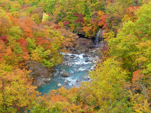 Waterfall with yellow and red leaves in autumn, Hachimantai, Iwate, Japan photo