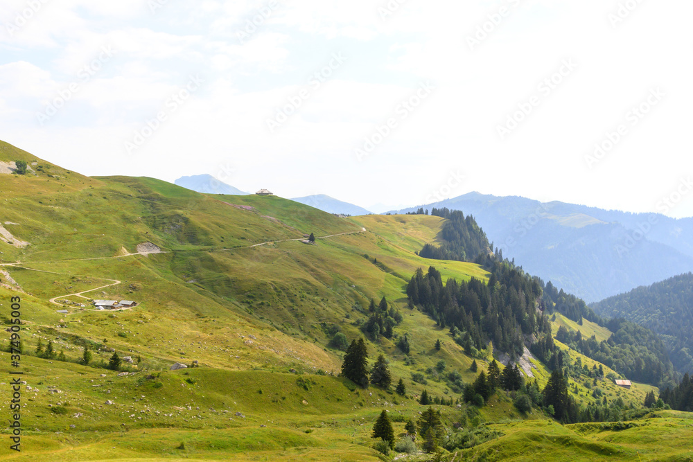 French Alps hillside, grass, pastures and mountains clear blue sky, pine forest, background of the landscape