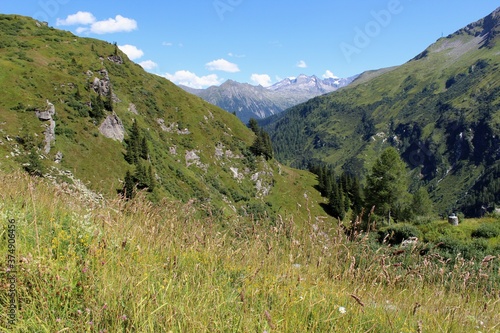 landscape in the mountains