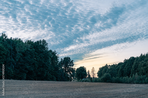 Dramatic sky at dusk above the field and forest. Copy space © cronislaw
