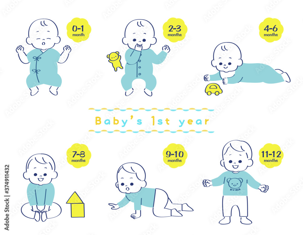 赤ちゃん誕生から一年間の成長 Stock Vector Adobe Stock 赤ちゃん誕生から一年間の成長 Stock Vector Adobe Stock