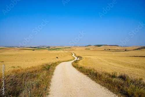 スペインサンティアゴ巡礼フランス人の道